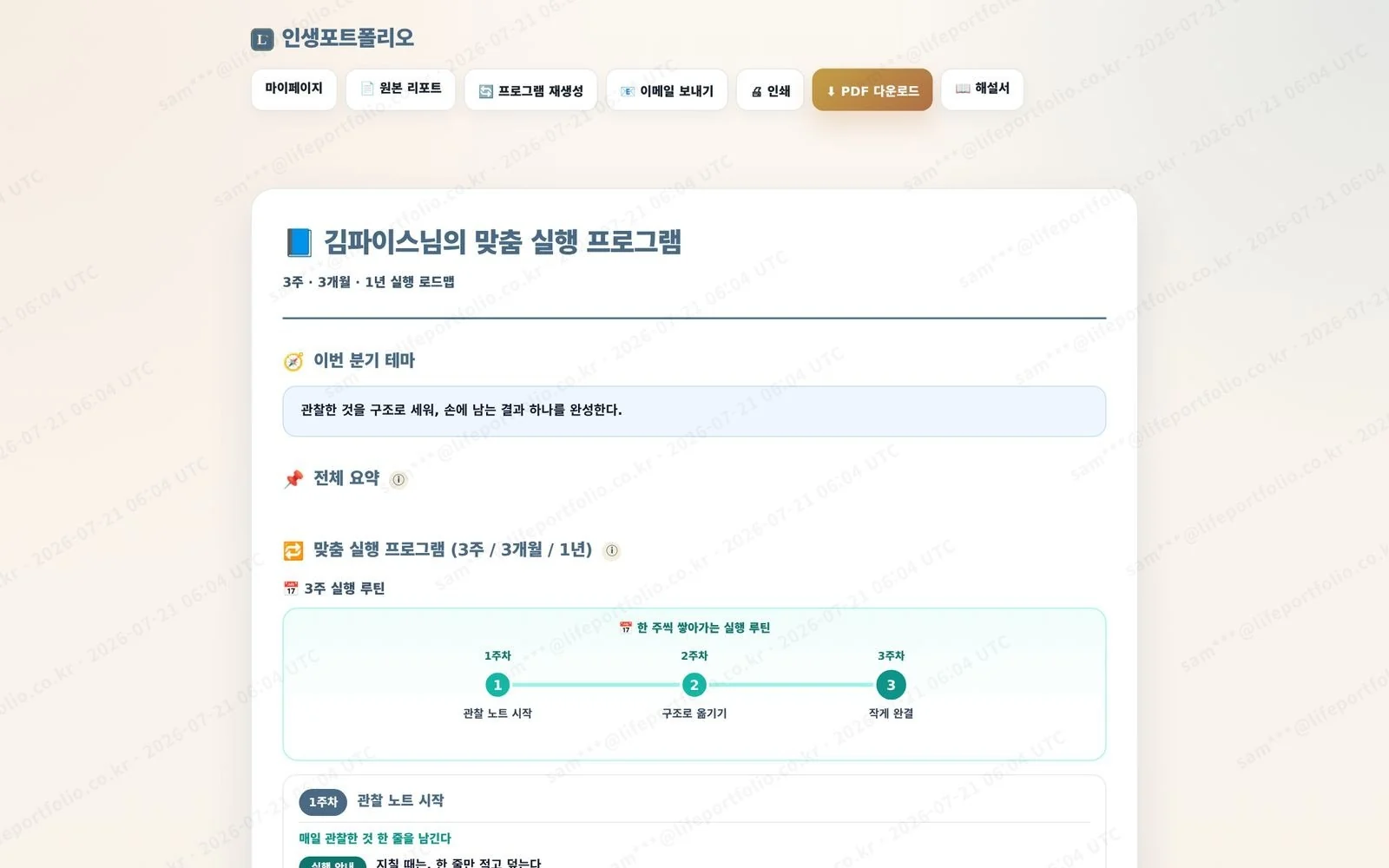 개선 전 인생포트폴리오 맞춤 실행 프로그램 데스크톱 화면
